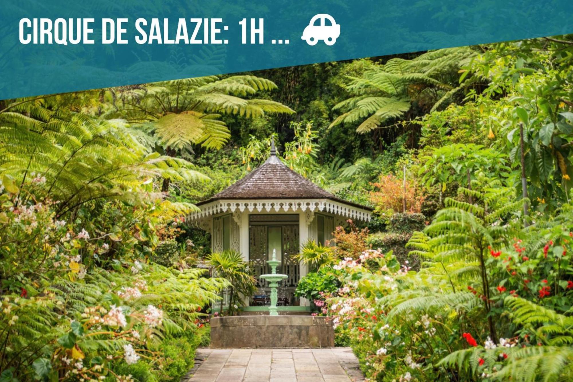 T2 Fleur De Lotus Leilighet Saint-Denis Eksteriør bilde